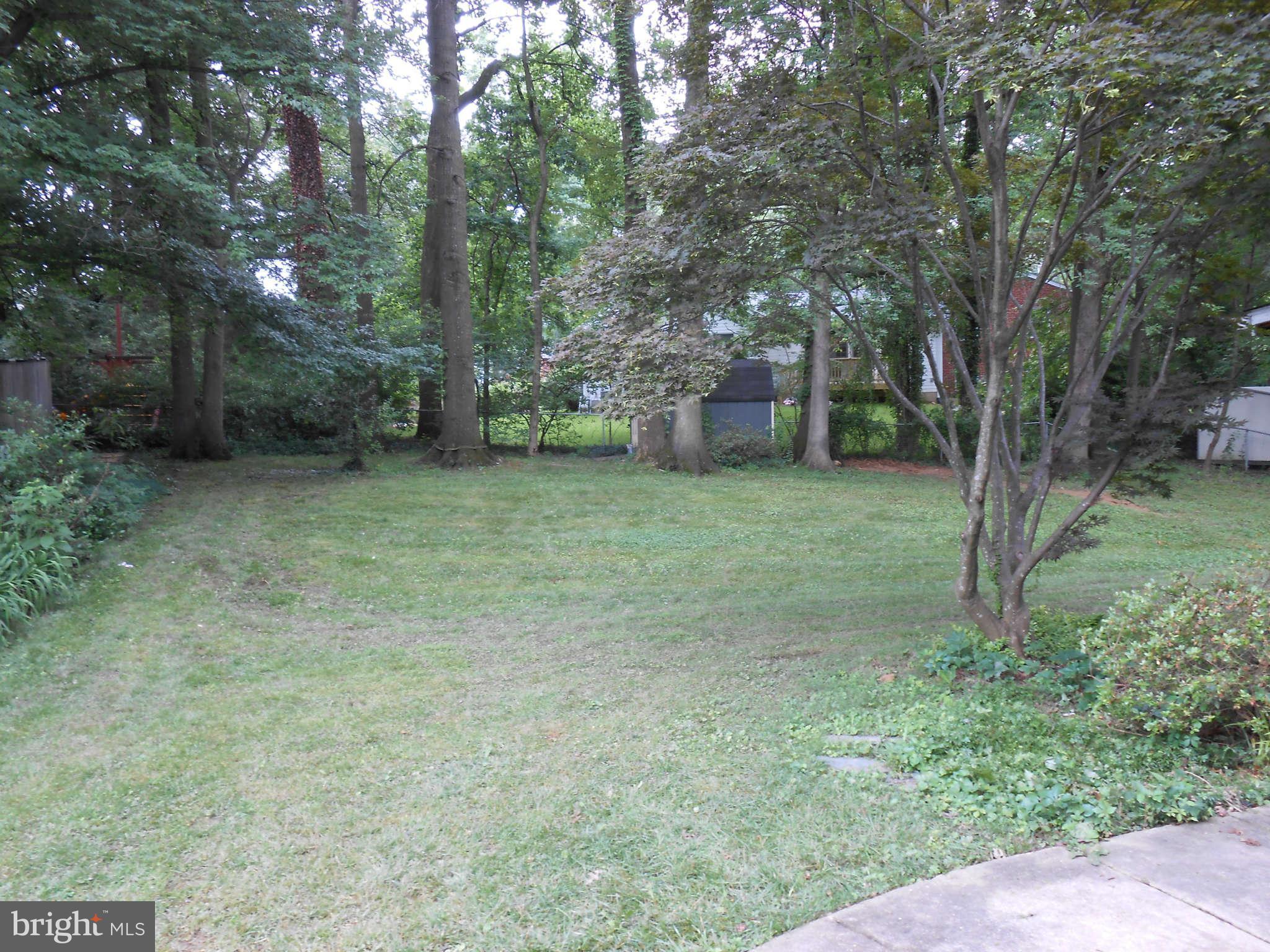 5407 Juliet Street Springfield, VA 22151 - Photo 23 of 27 backyard