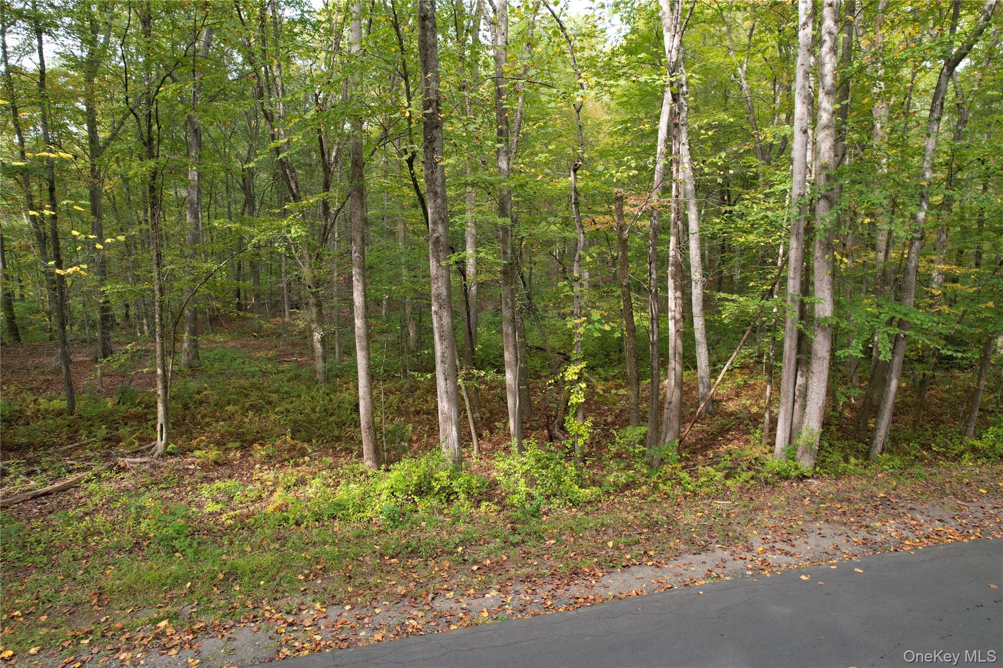 Brook Farm Road Pound Ridge, NY 10576 - Photo 2 of 5 a view of a garden