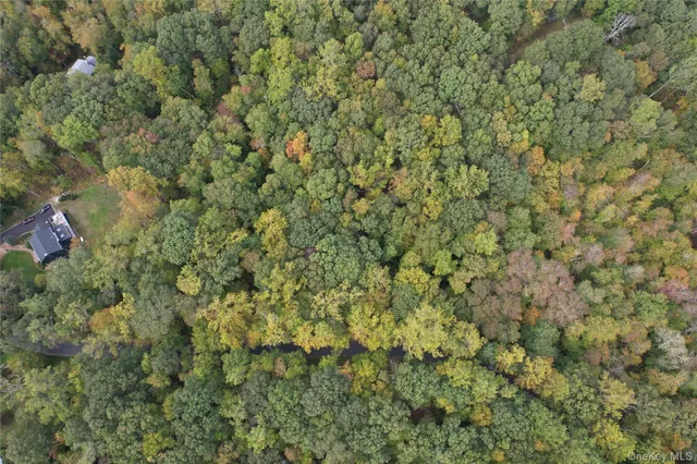 a view of a plants in a yard