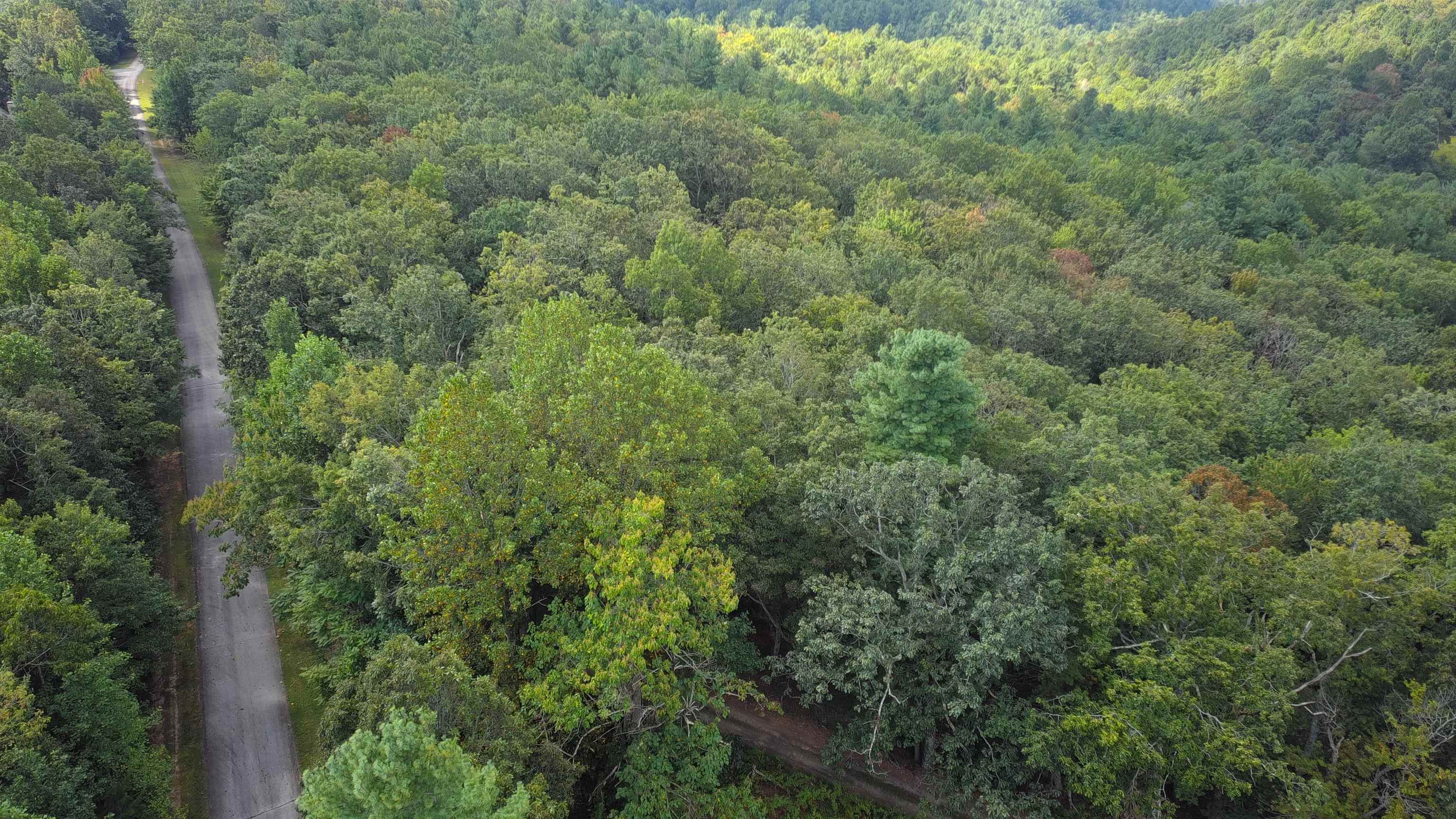 275 Kincaid Pl Mill Spring Mill Spring, NC 28756 - Photo 21 of 27 Gallery Image 21