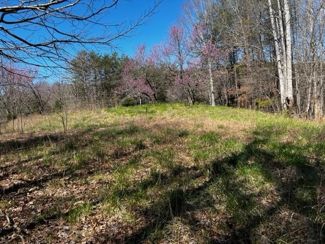 4 Pointe Ln Mill Spring Mill Spring, NC 28756 - Photo 2 of 6