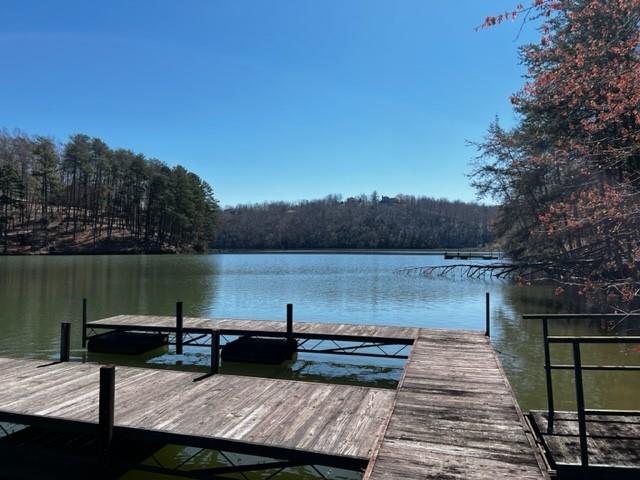 4 Pointe Ln Mill Spring Mill Spring, NC 28756 - Photo 3 of 6