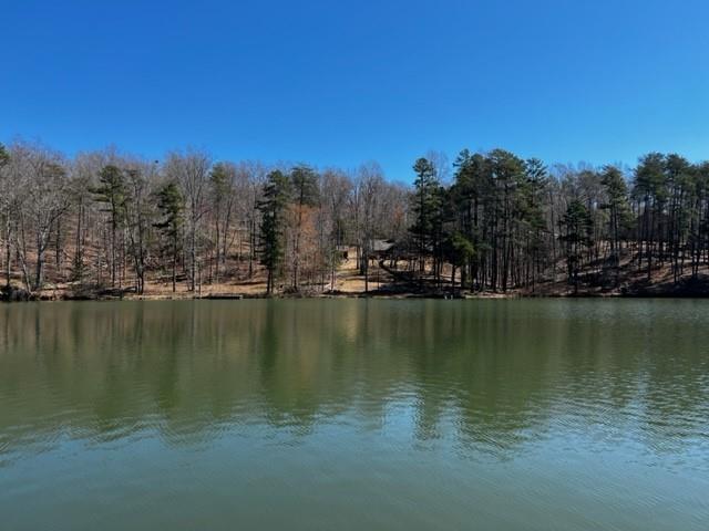 4 Pointe Ln Mill Spring Mill Spring, NC 28756 - Photo 5 of 6