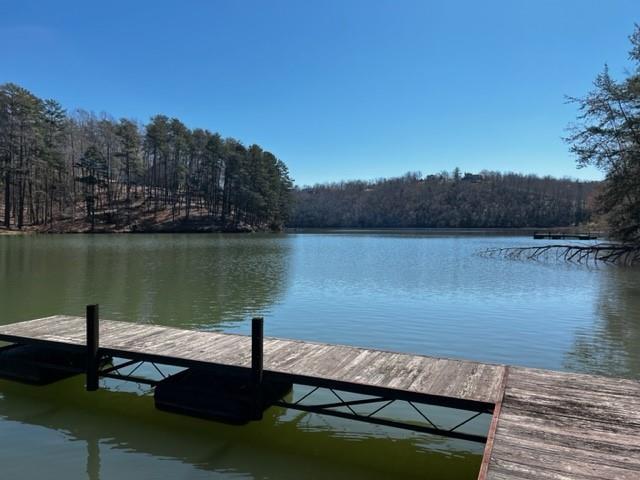 4 Pointe Ln Mill Spring Mill Spring, NC 28756 - Photo 6 of 6