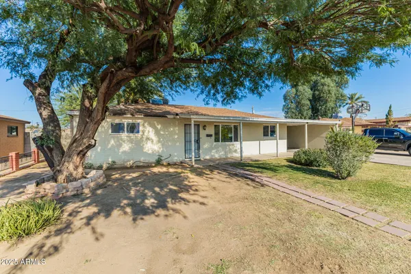 front view of a house with a tree