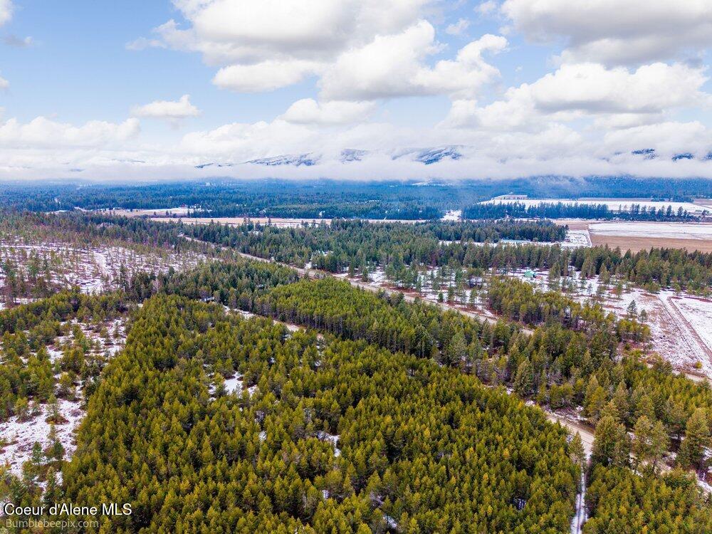 5294 Bandy Road Priest River, ID 83856 - Photo 41 of 47 040_bb193528-40_36
