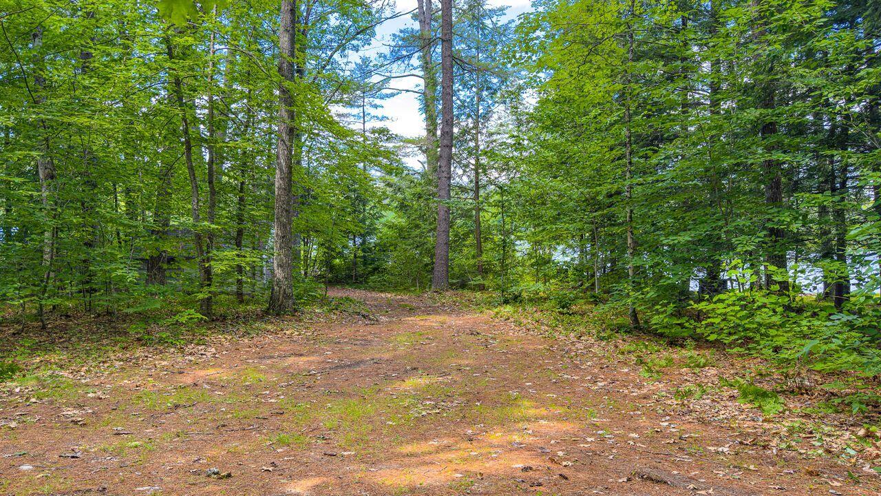27 Peterson Camp Road Lovell, ME 04051 - Photo 3 of 11 Driveway access