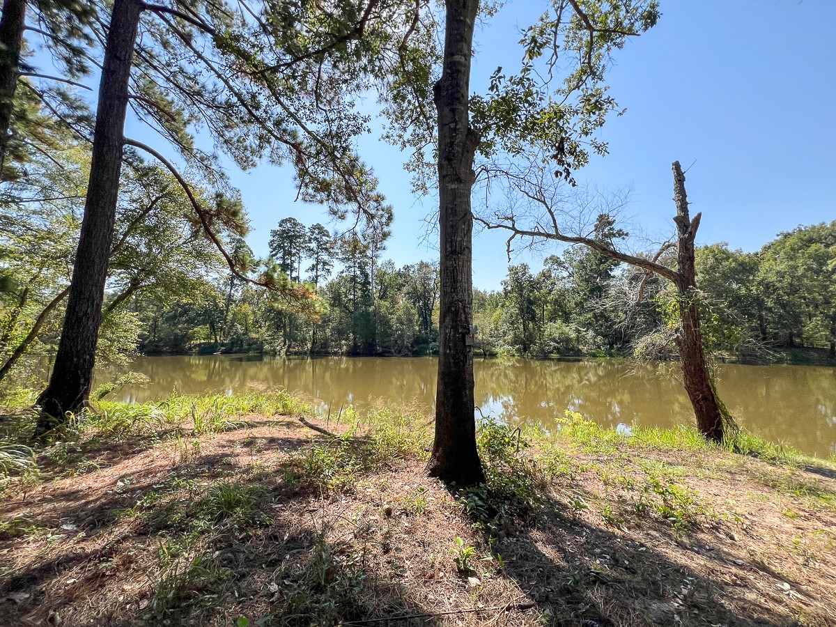 1 County Road 2925 Rusk, TX 75785 - Photo 4 of 8 a view of a lake with a tree