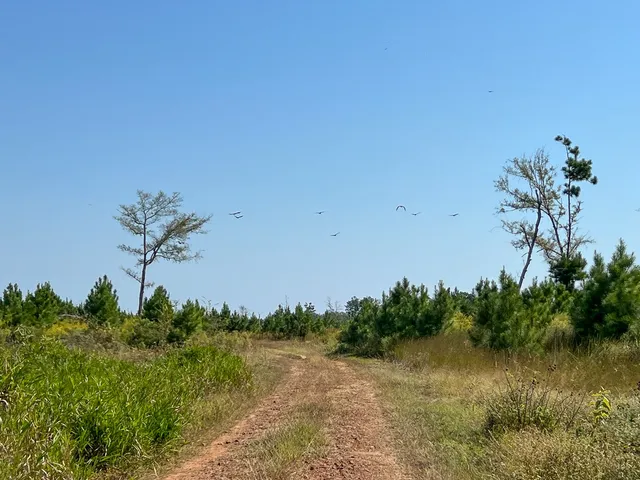 a view of a lake with a mountain view