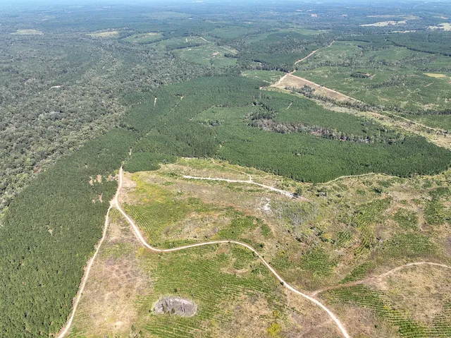 a view of a lake in middle of a field