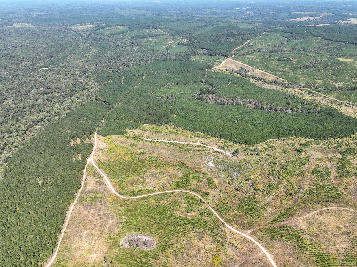 1 County Road 2925 Rusk, TX 75785 - Photo 7 of 8 a view of a yard