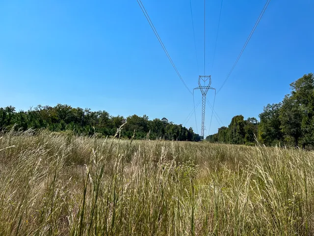 $5,609,500 | 1 County Road 2925, Rusk, TX 75785