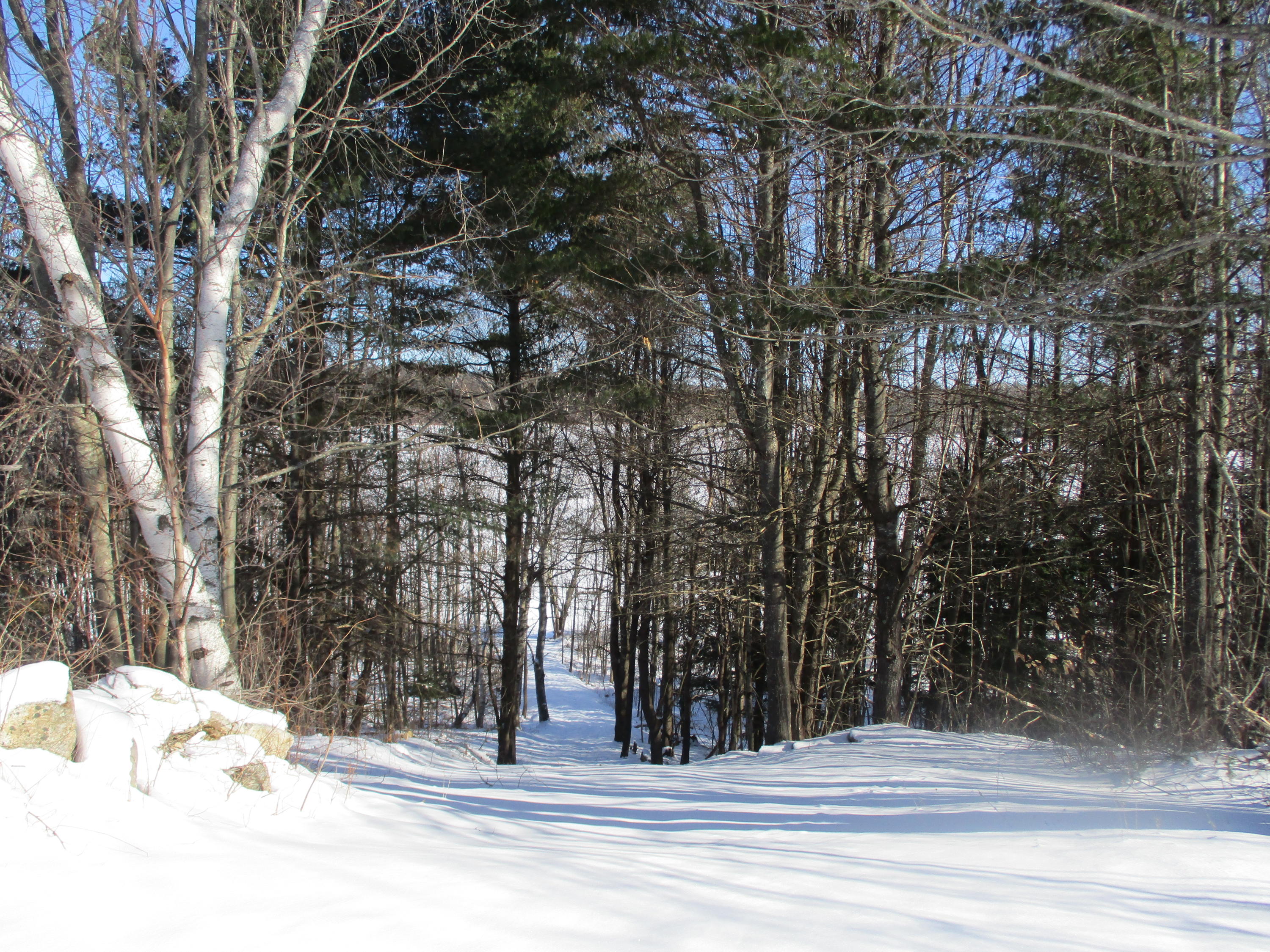 321 Wilson Pond Road Monmouth, ME 04265 - Photo 65 of 75 IMG_4336