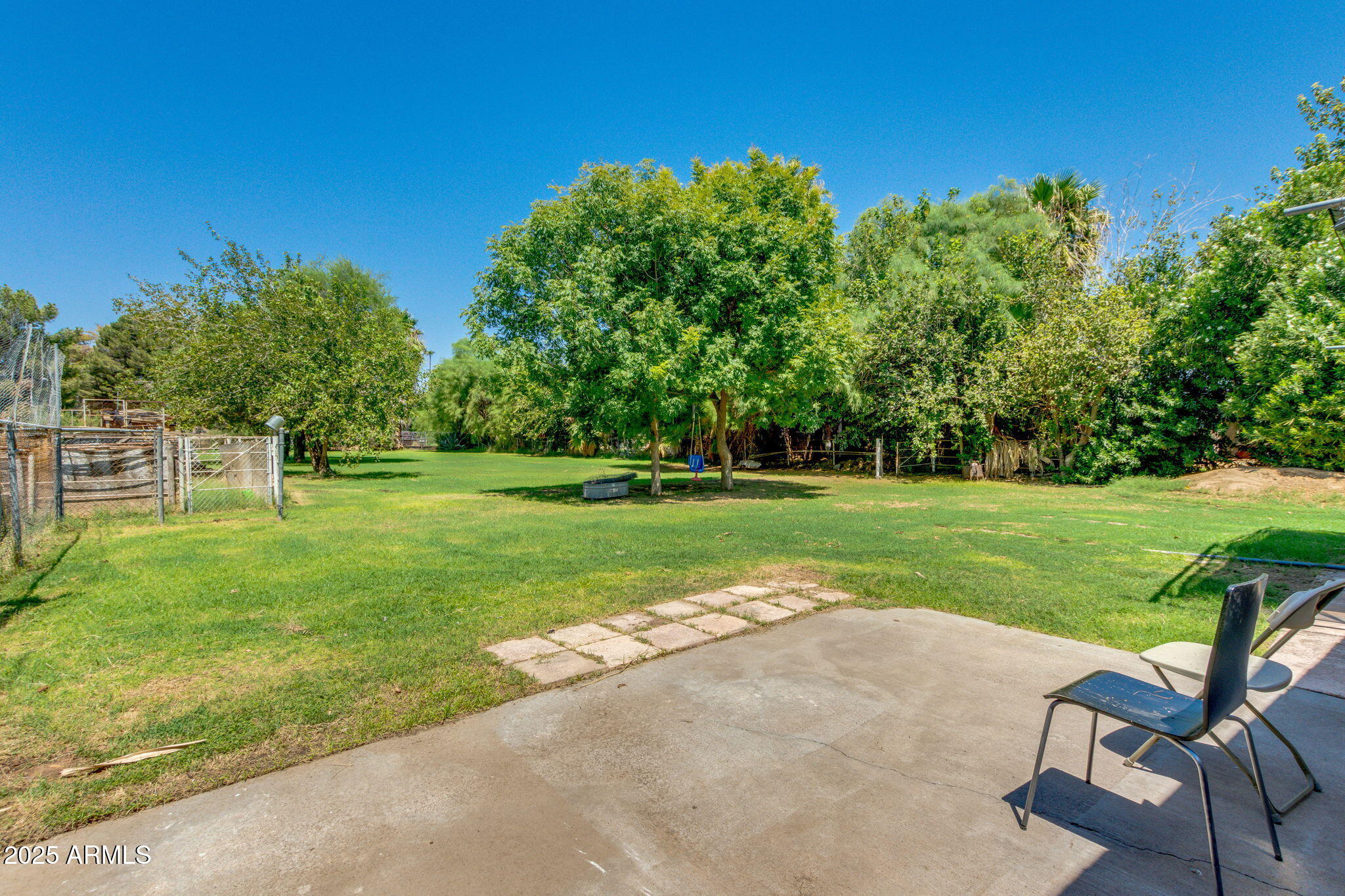 6548 West Baseline Road Laveen, AZ 85339 - Photo 37 of 60 Matrure trees