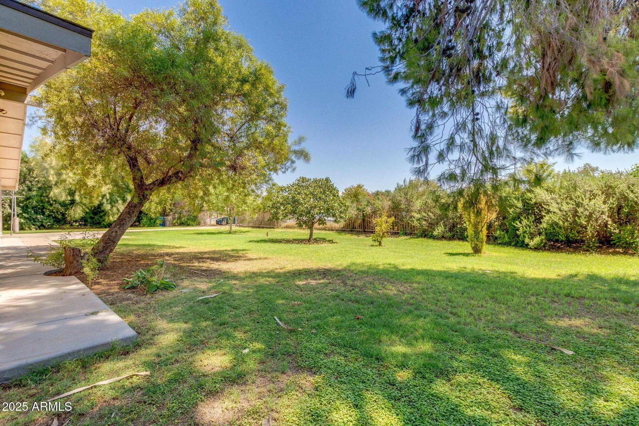 6548 West Baseline Road Laveen, AZ 85339 - Photo 5 of 60 Mature trees