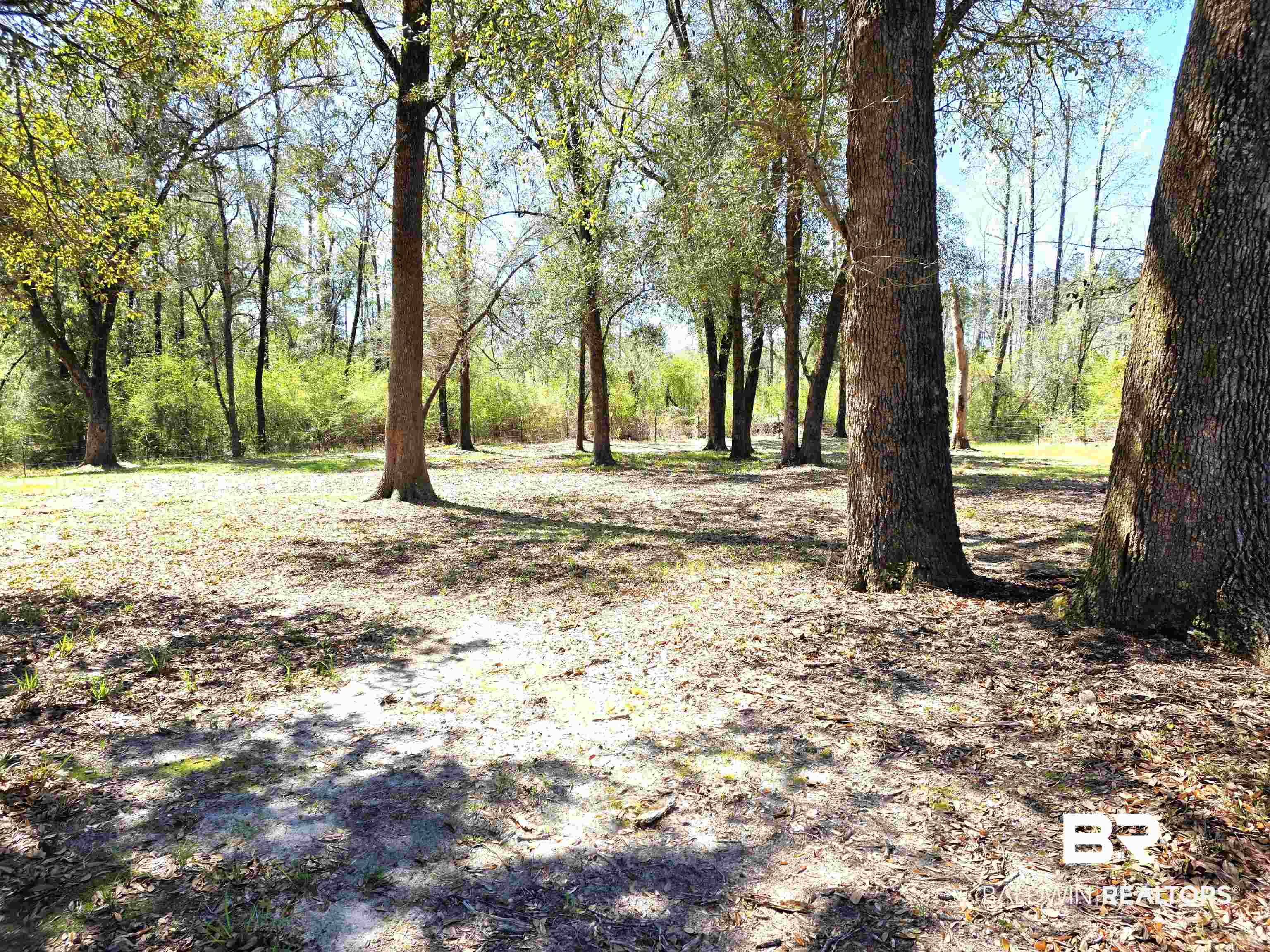 180 Tanner Lane Brewton, AL 36426 - Photo 4 of 15