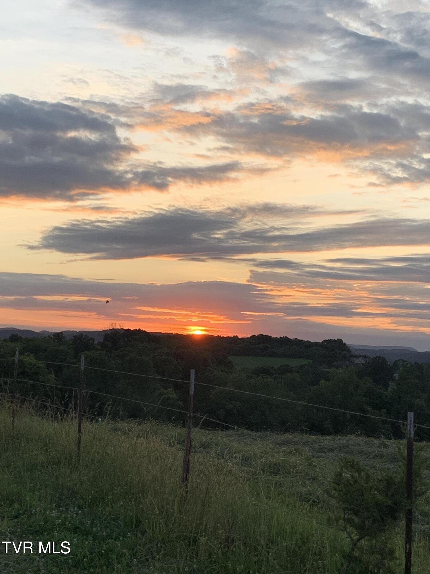 Tbd Leesburg Road Telford, TN 37690 - Photo 20 of 20 8CCE0BEB-ECAB-4257-8899-08BAB33B6D0C (1)