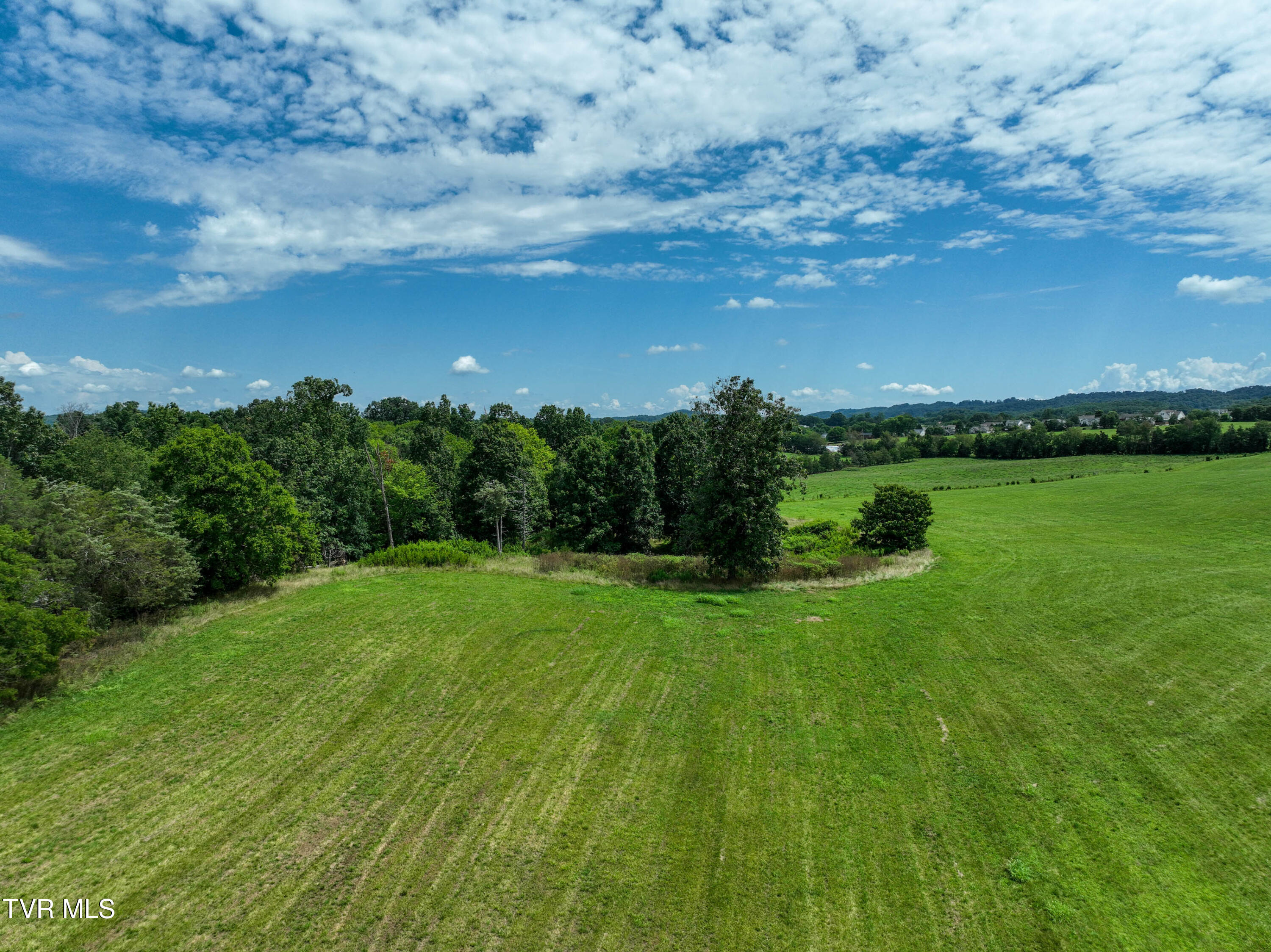 Tbd Leesburg Road Telford, TN 37690 - Photo 7 of 20 TBD Leesburg Rd Drone MEYER-6