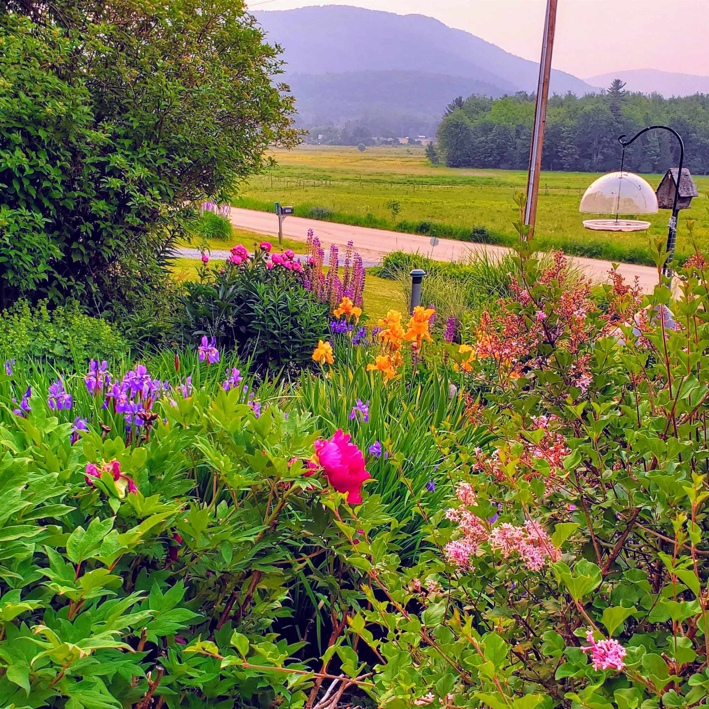 1804 Gilman Road Hinesburg, VT 05461 - Photo 31 of 39 Gallery Image 31