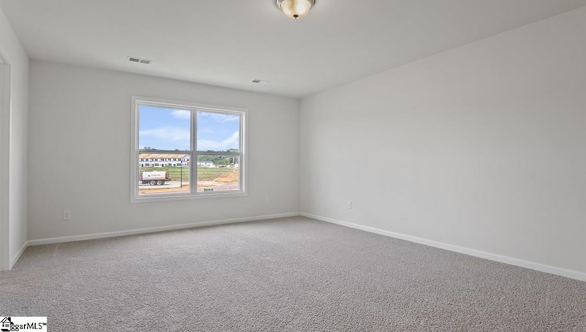578 Yellow Fox Road, Unit 279 Greer, SC 29650 - Photo 19 of 28 Gallery Image 19