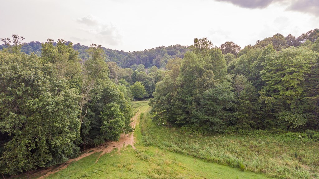 0 Hickory Grove Road Madisonville, TN 37354 - Photo 13 of 32 Gallery Image 13
