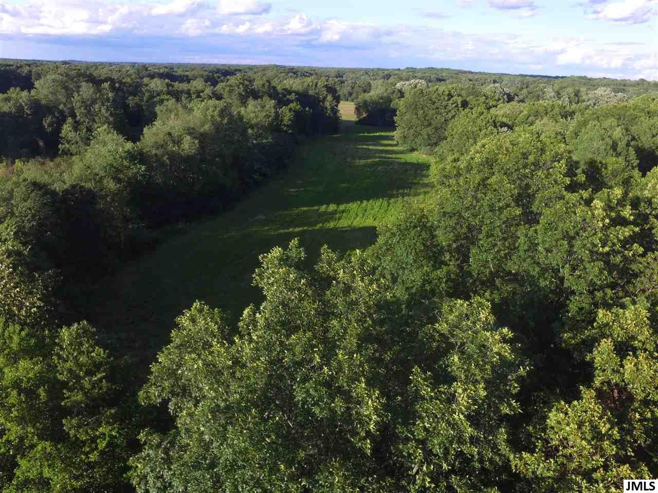 0 Smith Road Grass Lake, MI 49240 - Photo 1 of 10 Photo 1