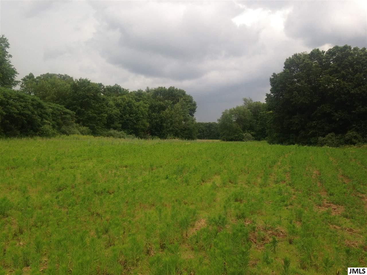 0 Smith Road Grass Lake, MI 49240 - Photo 2 of 10 Photo 2