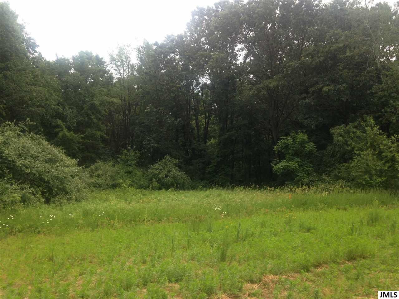 0 Smith Road Grass Lake, MI 49240 - Photo 3 of 10 Photo 3