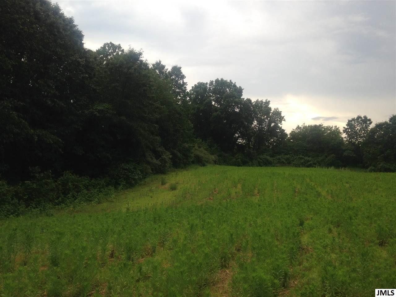 0 Smith Road Grass Lake, MI 49240 - Photo 4 of 10 Photo 4