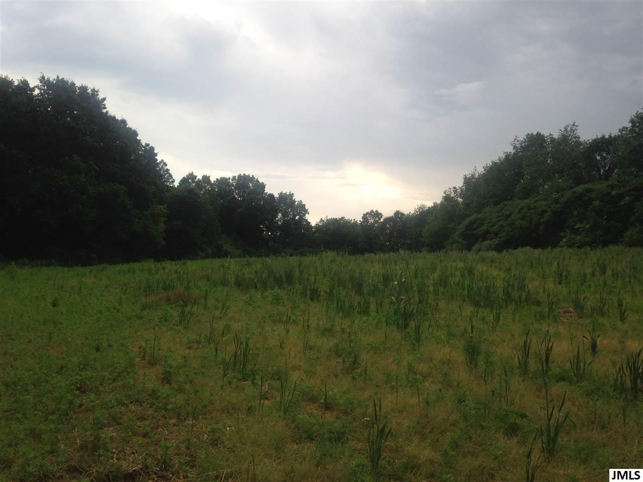 0 Smith Road Grass Lake, MI 49240 - Photo 7 of 10 Photo 7