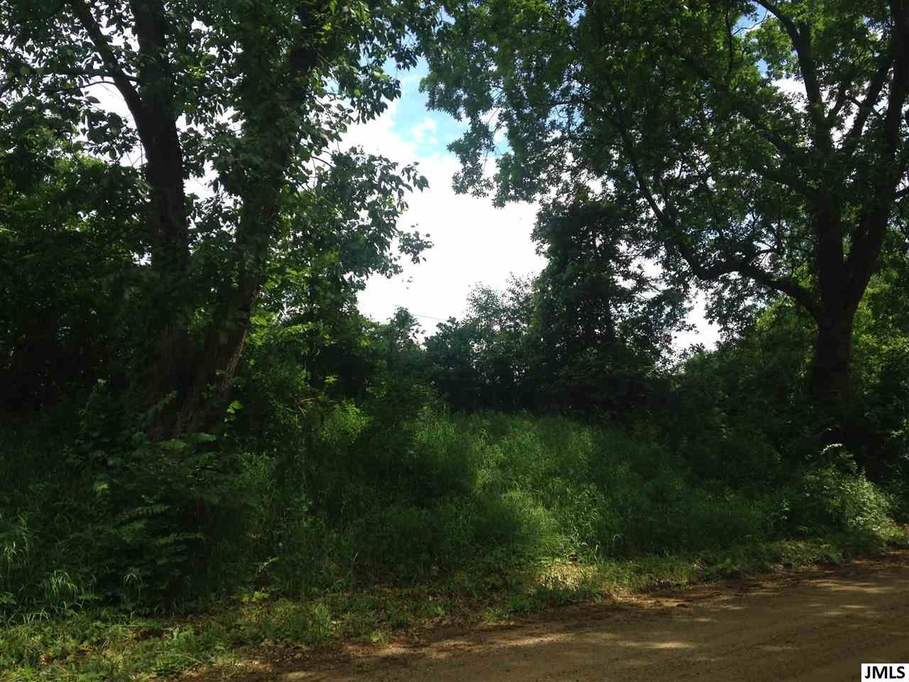 0 Smith Road Grass Lake, MI 49240 - Photo 8 of 10 Photo 8