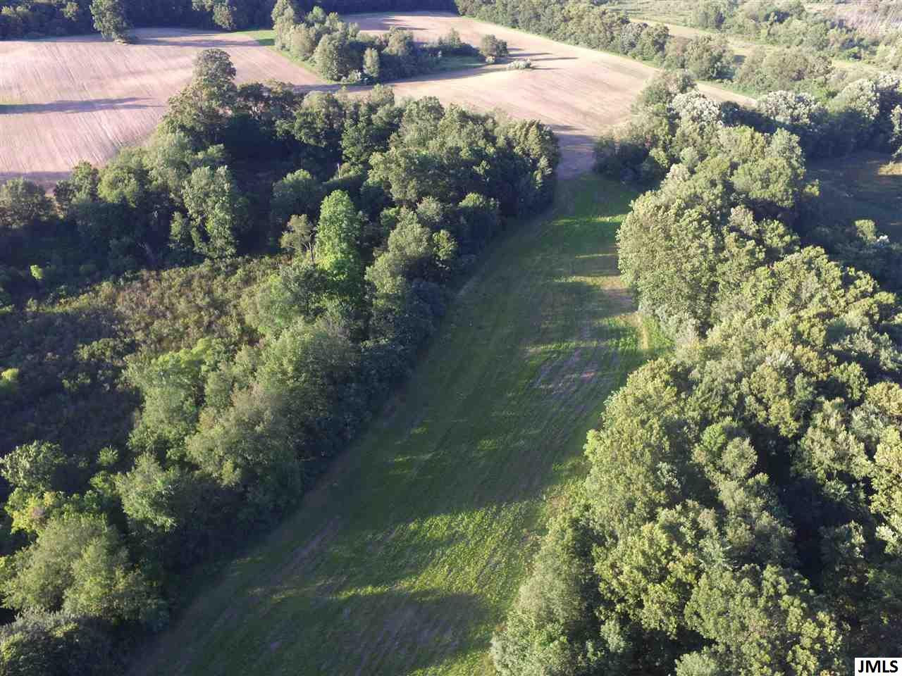 0 Smith Road Grass Lake, MI 49240 - Photo 10 of 10 Photo 10