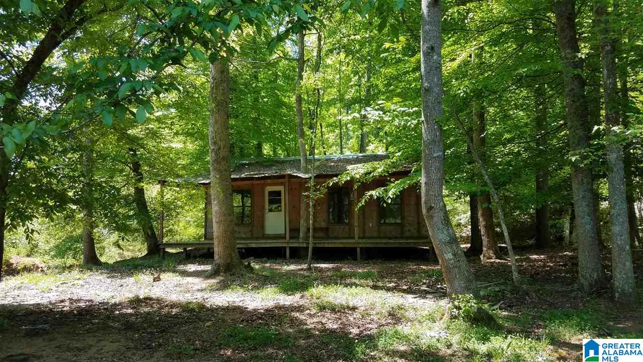 31 County Road Ashland, AL 36251 - Photo 22 of 38