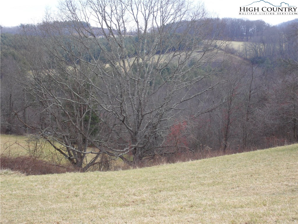 S9 Breezy Ridge Lane Sparta, NC 28675 - Photo 6 of 9 Gallery Image 6