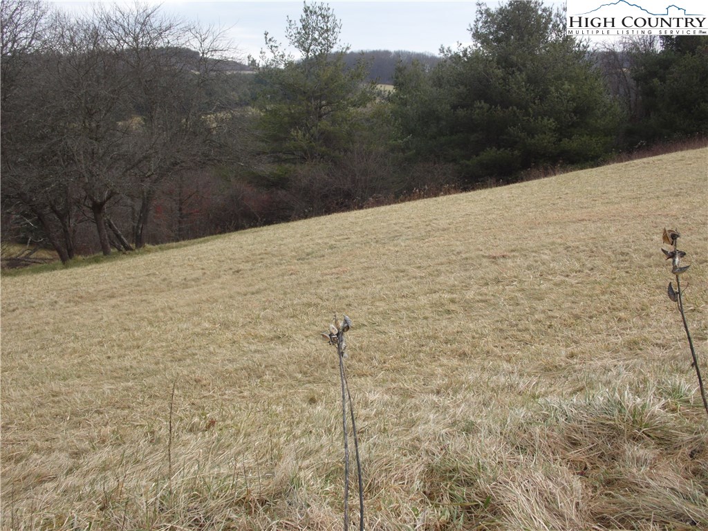 S9 Breezy Ridge Lane Sparta, NC 28675 - Photo 7 of 9 Gallery Image 7