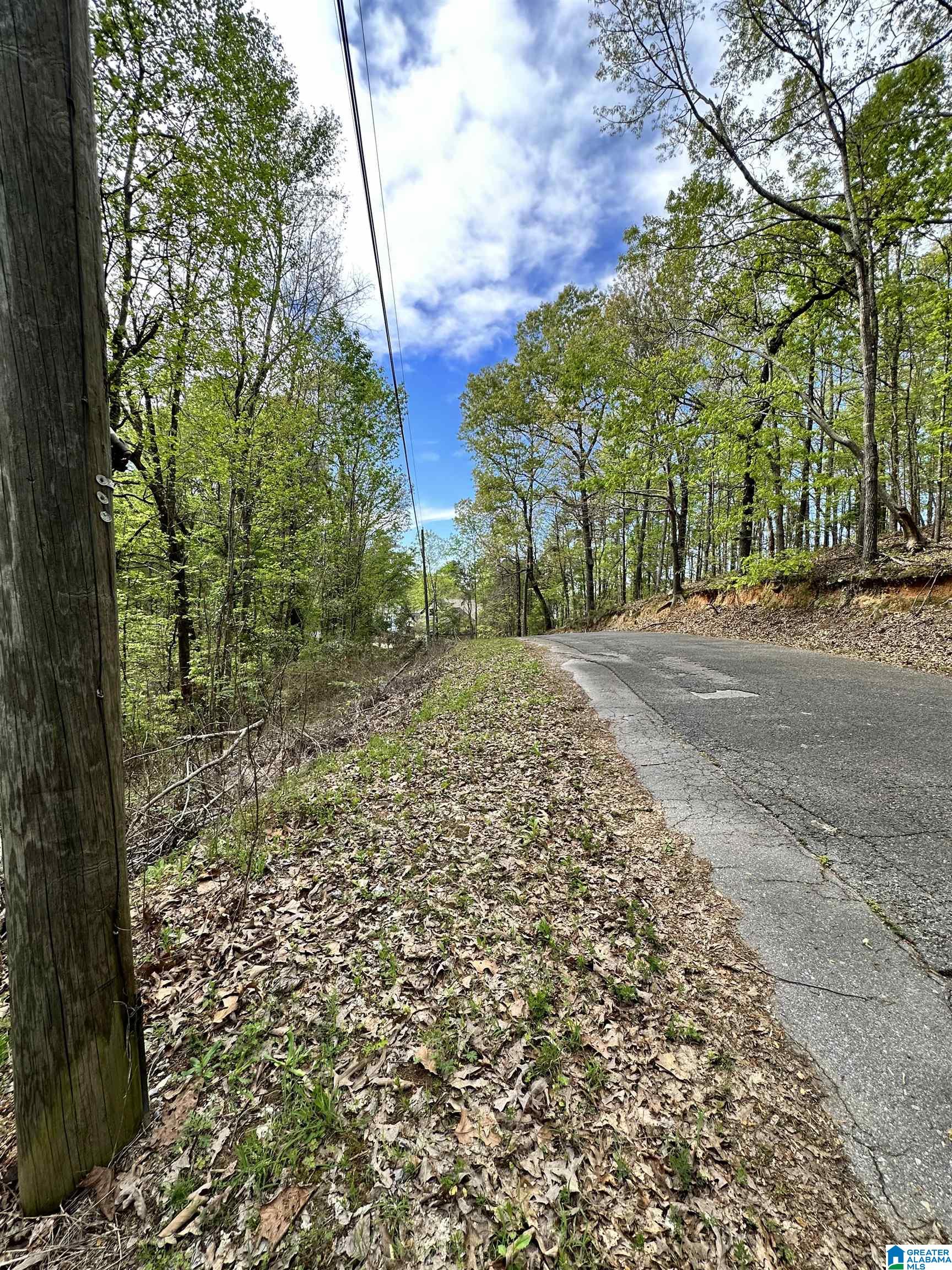 Lakeview Drive, Unit 53 Alpine, AL 35014 - Photo 7 of 35