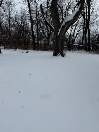 a view of outdoor space with trees