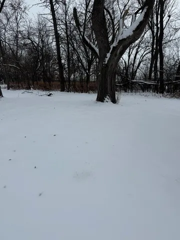 a view of outdoor space with trees