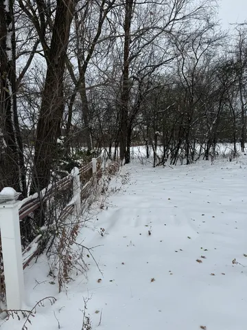a view of road and trees