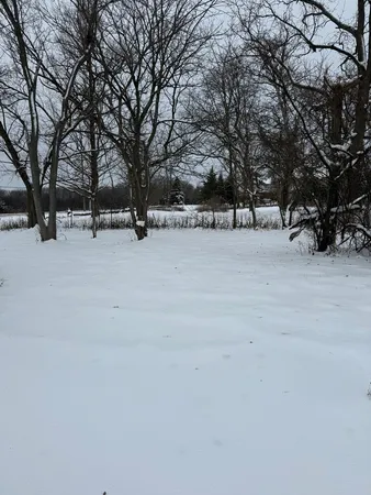 a view of outdoor space and trees