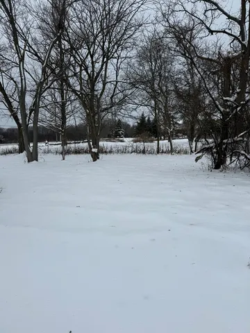 a view of outdoor space and trees