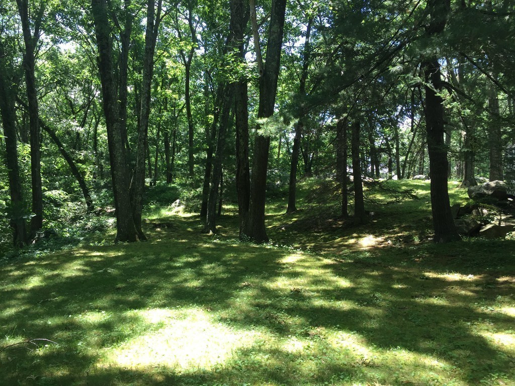 85 Schoolmasters Lane Dedham, MA 02026 - Photo 27 of 30 a yard with large trees