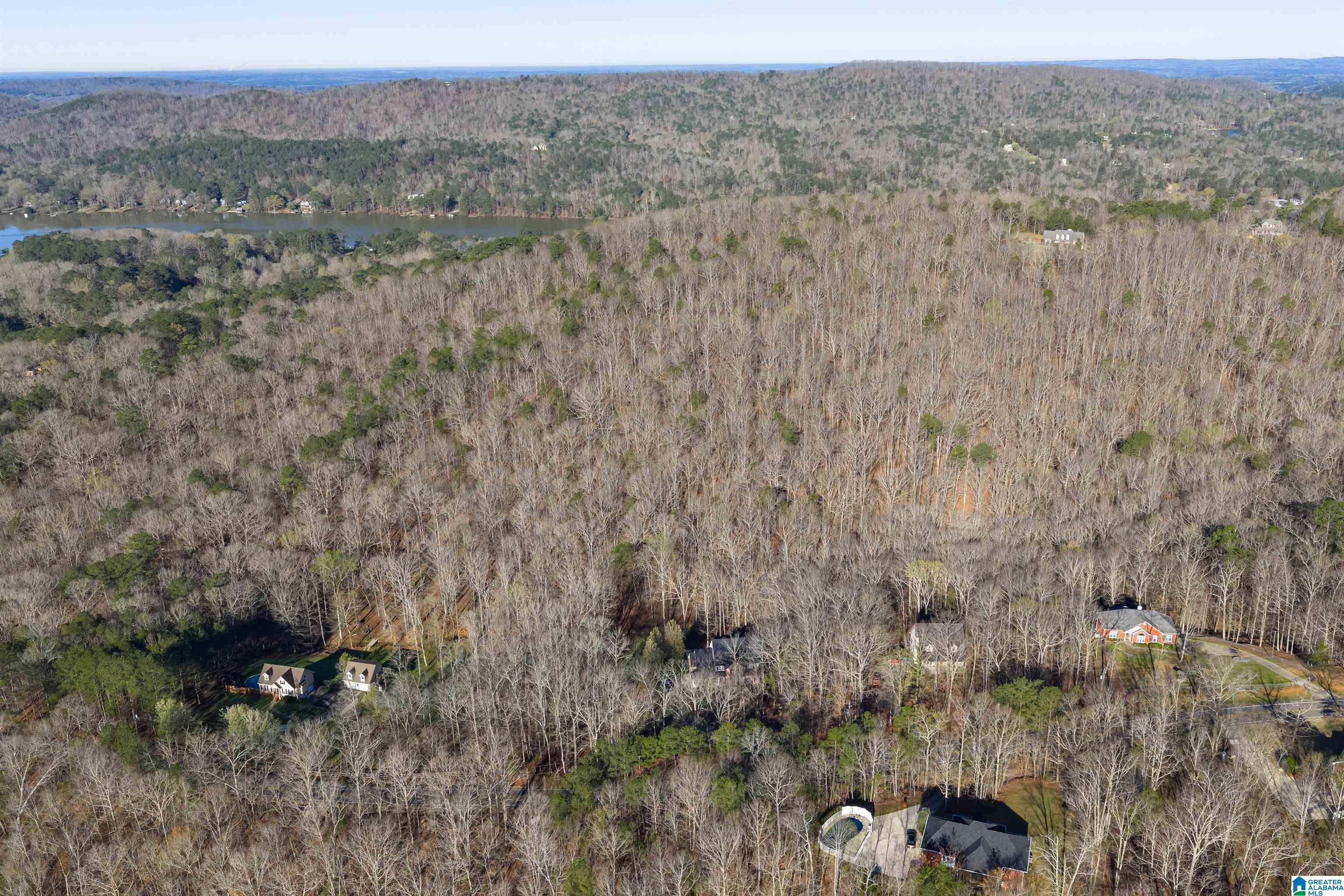 8560 Pine Mountain Road Pinson, AL 35126 - Photo 52 of 59