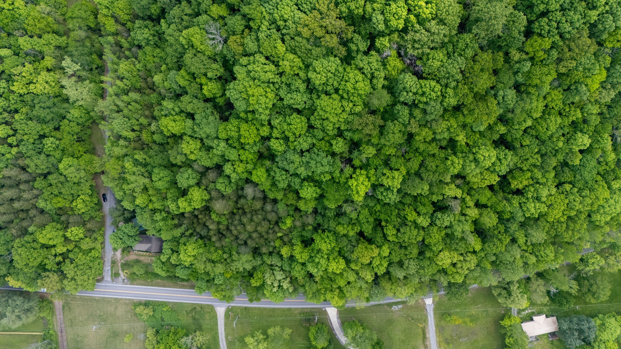 3262 Tyree Springs Road Hendersonville, TN 37075 - Photo 11 of 15