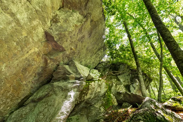 $12,995,000 | Undisclosed Address, Warren, CT 06777