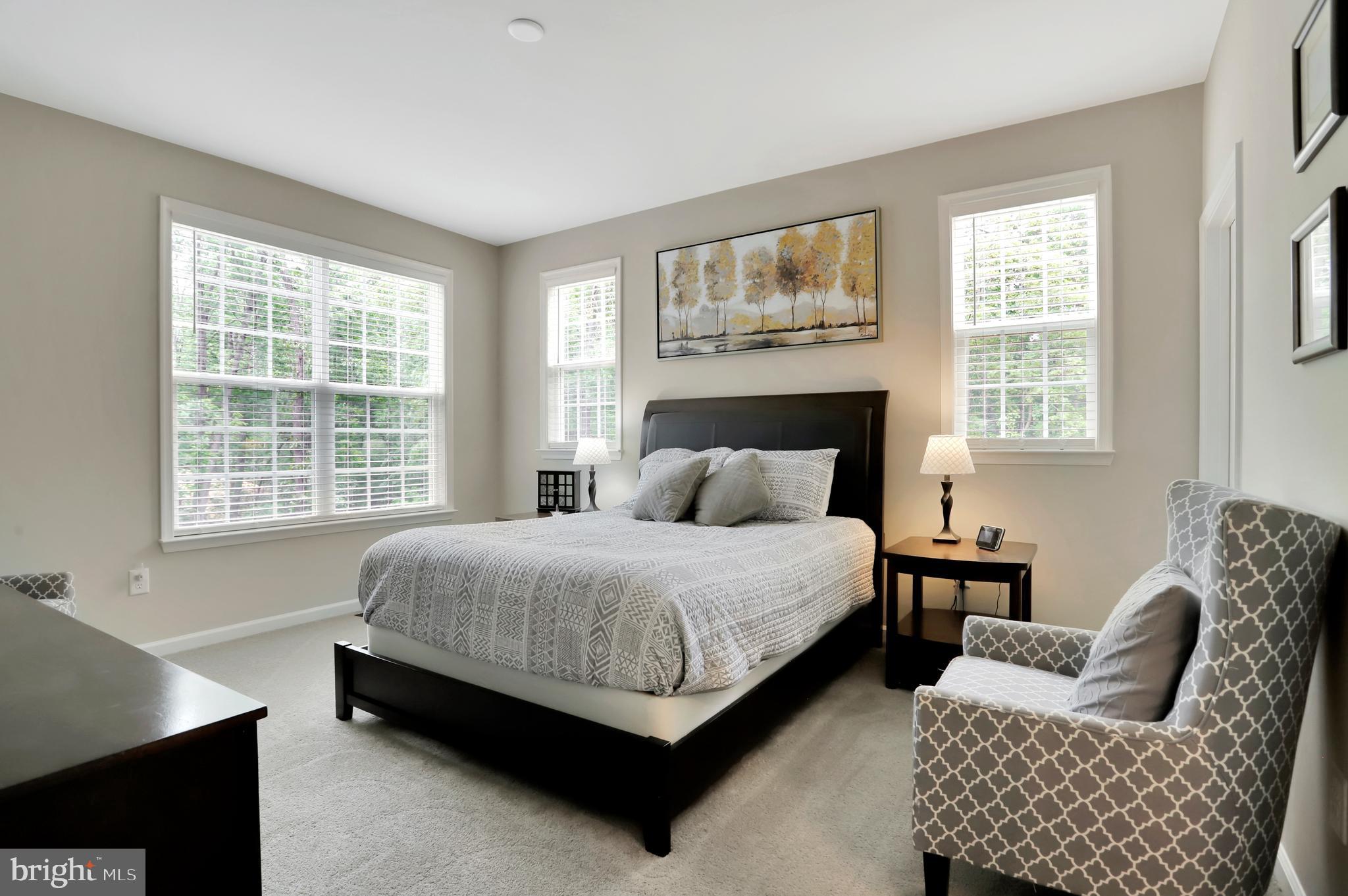 448 Underwood Drive Falling Waters, WV 25419 - Photo 20 of 55 1st Floor Master Suite w/ Bath & W/I Closet