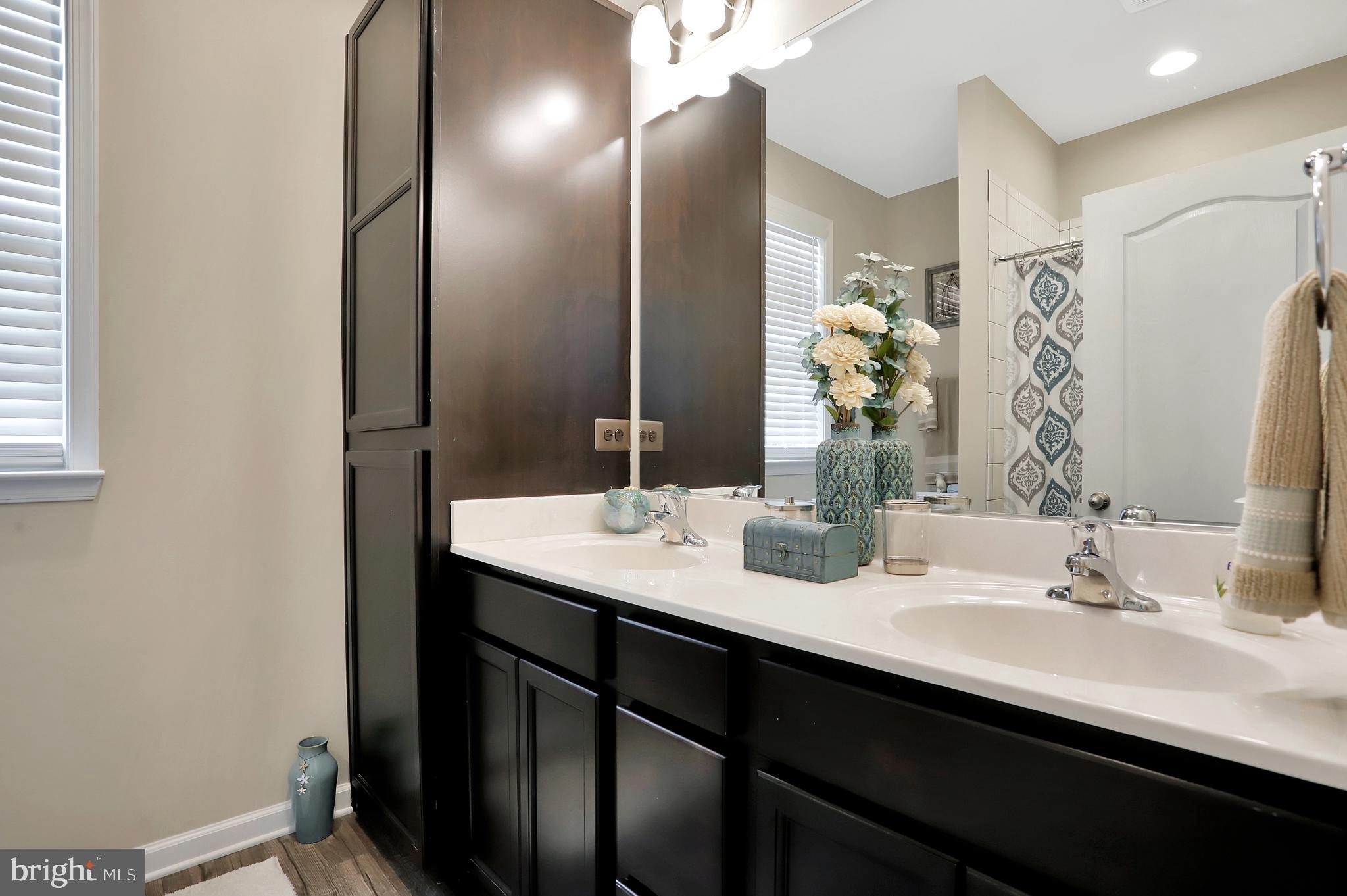 448 Underwood Drive Falling Waters, WV 25419 - Photo 22 of 55 1st Floor Master Suite Full Bath; Double Vanity
