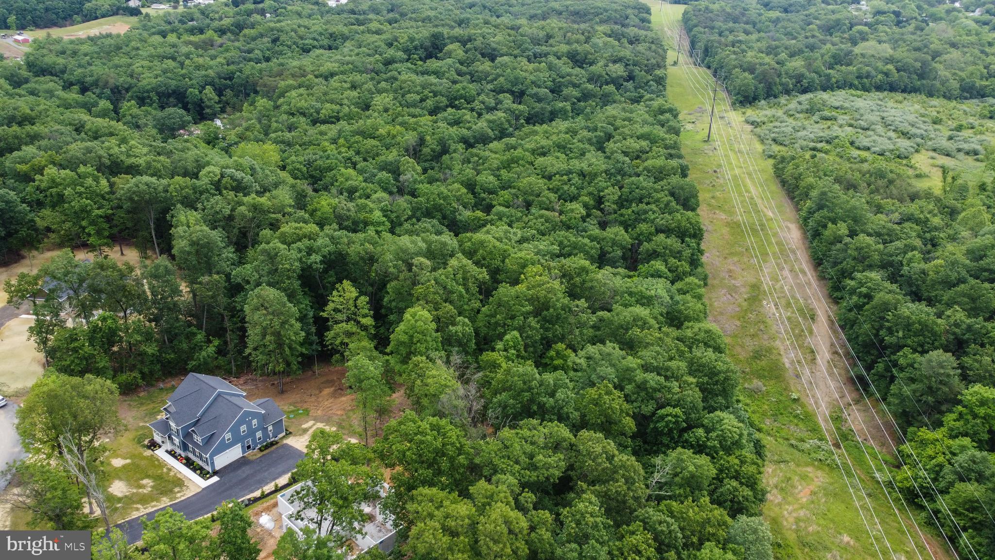 448 Underwood Drive Falling Waters, WV 25419 - Photo 4 of 55 LARGE LOT; Just shy of 5.0 AC