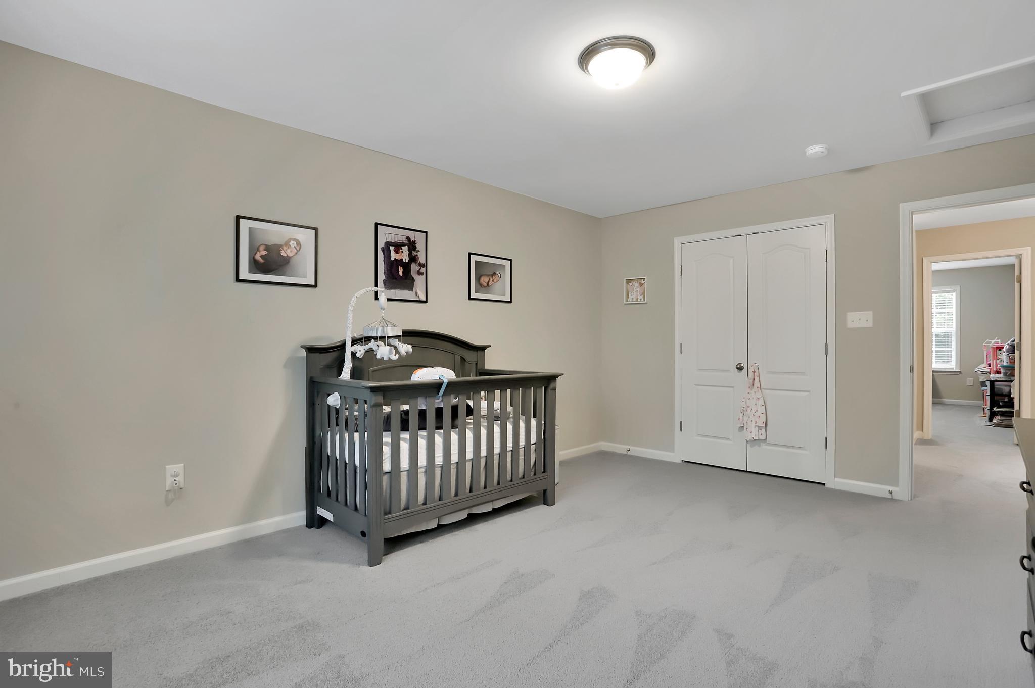 448 Underwood Drive Falling Waters, WV 25419 - Photo 36 of 55 Bedroom #4; Endless Space for ALL Needs!!