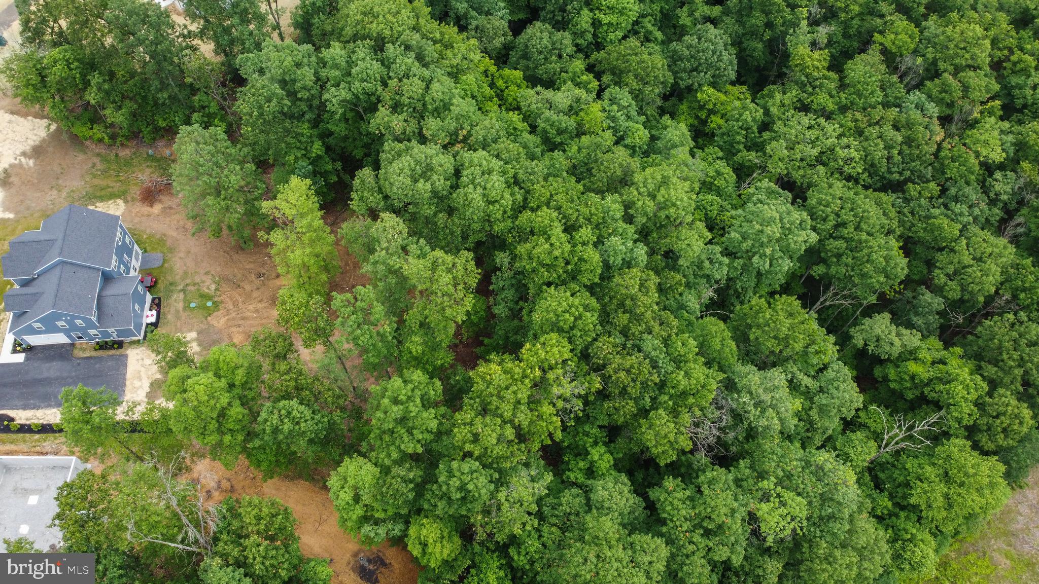 448 Underwood Drive Falling Waters, WV 25419 - Photo 46 of 55 4.908 AC Lot - Privately Backs Woods